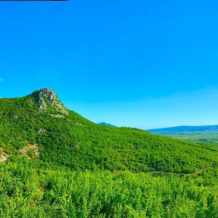 Hani I Leks Agroturizem Lezhë エクステリア 写真