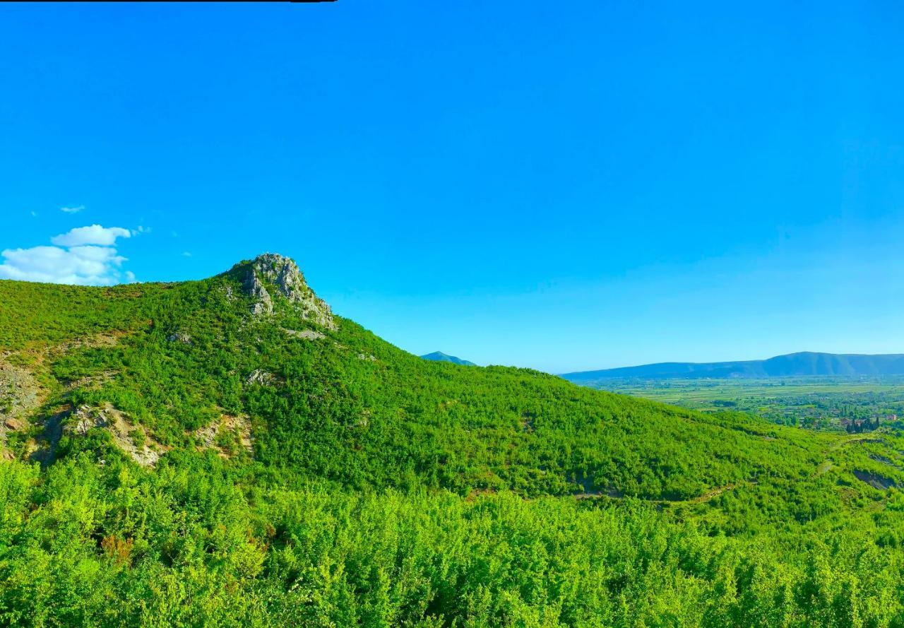 Hani I Leks Agroturizem Lezhë エクステリア 写真